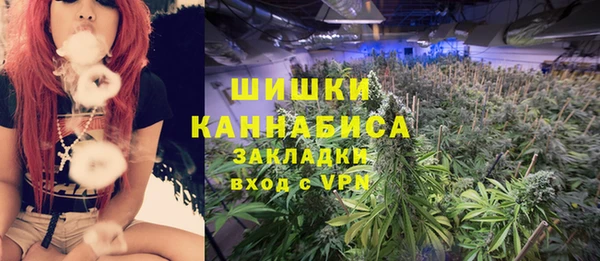 дурь Арсеньев