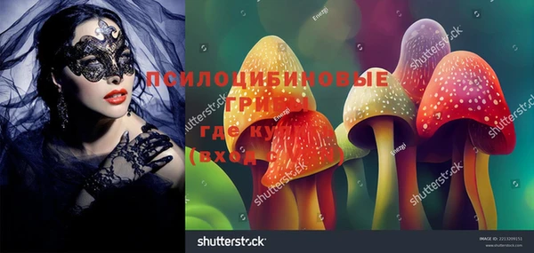 Альфа ПВП Алексеевка