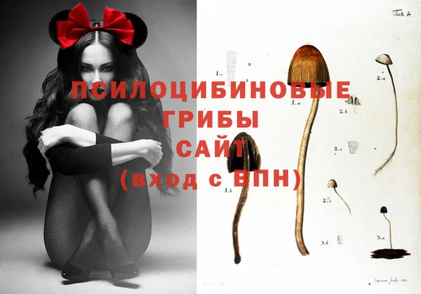 дурь Арсеньев